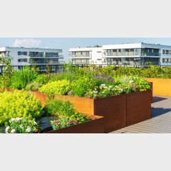 INEFIL CU, BS300 SS, 1,0, cortentrd